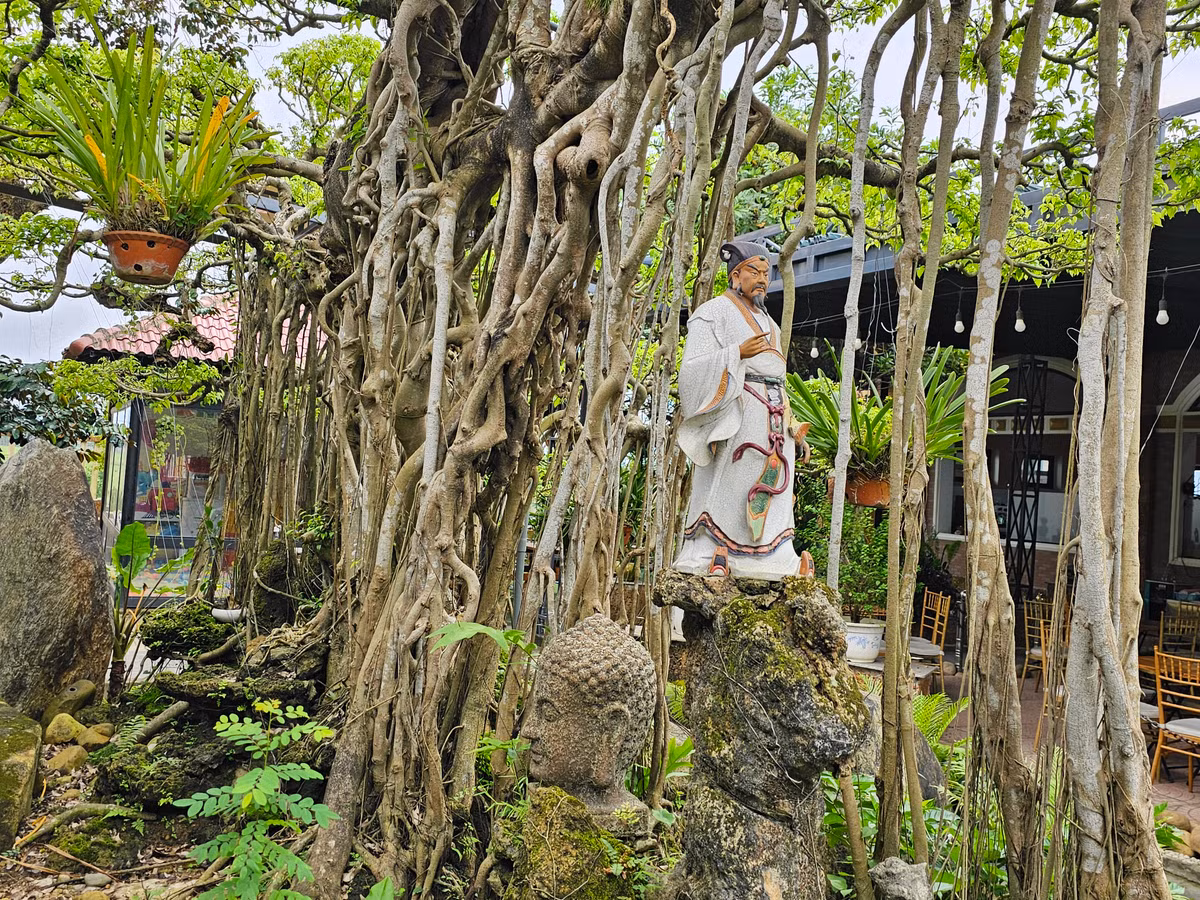 Tác phẩm nổi bật bởi bộ rễ sần sùi, nổi hẳn lên mặt đất và bám chặt với lớp đất đá rêu phong.