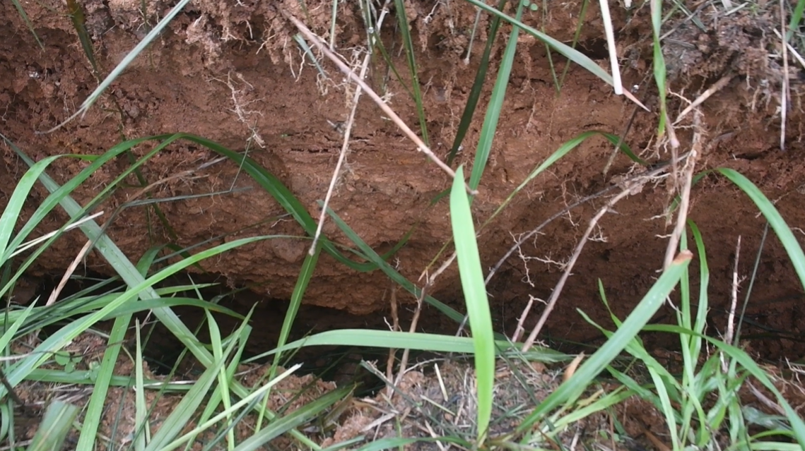 Quảng Nam: Xuất hiện vết nứt lớn tại khu đồi Trạm khí tượng Trà My Quang Nam: Xuat hien vet nut lon tai khu doi Tram khi tuong Tra My