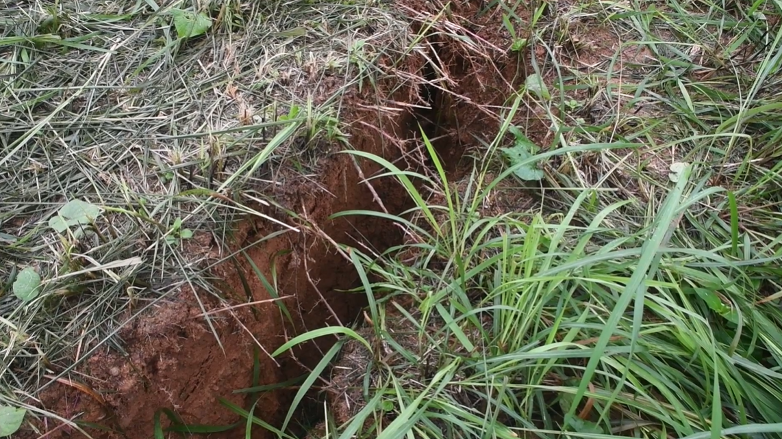 Quảng Nam: Xuất hiện vết nứt lớn tại khu đồi Trạm khí tượng Trà My - Hình 2 Quang Nam: Xuat hien vet nut lon tai khu doi Tram khi tuong Tra My-Hinh-2