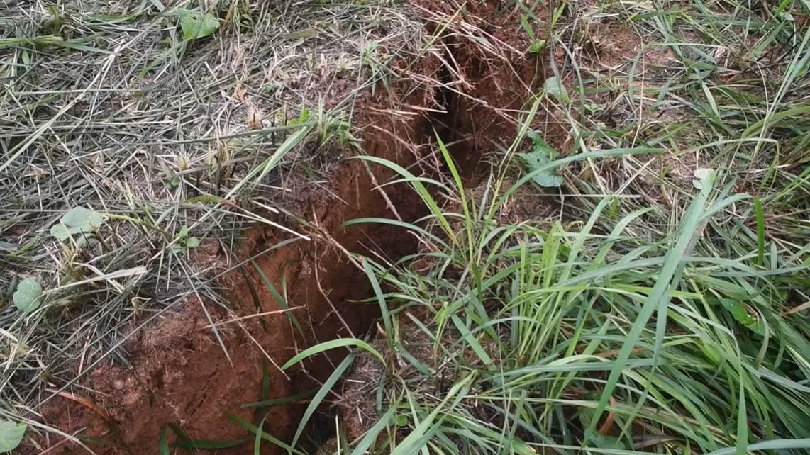 Quang Nam: Xuat hien vet nut lon tai khu doi Tram khi tuong Tra My-Hinh-2