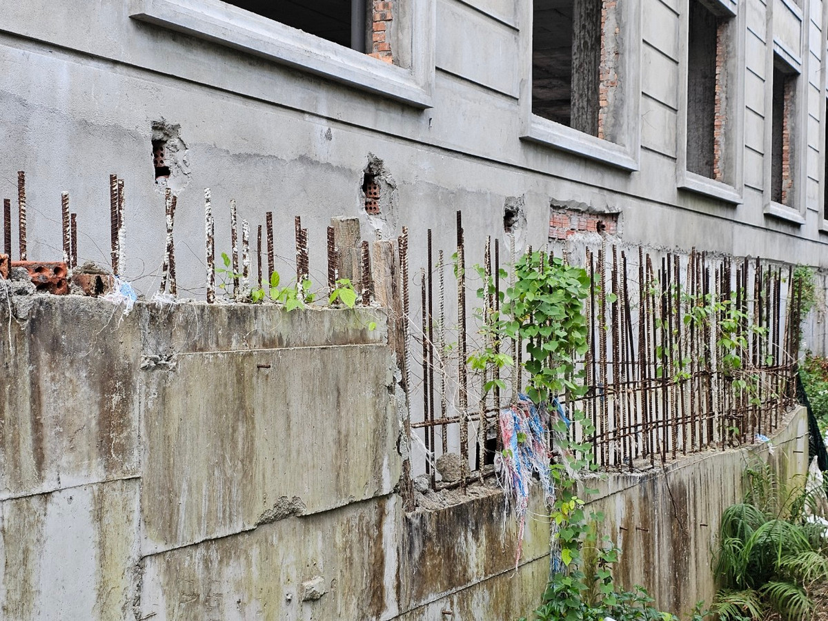 Sắt thép hoen rỉ, dây leo bò khắp lối.