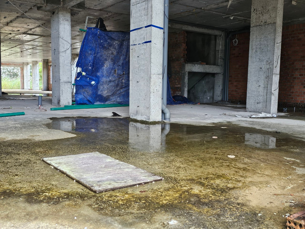 Nước mưa đọng thành vũng, rêu mốc đầy sàn.