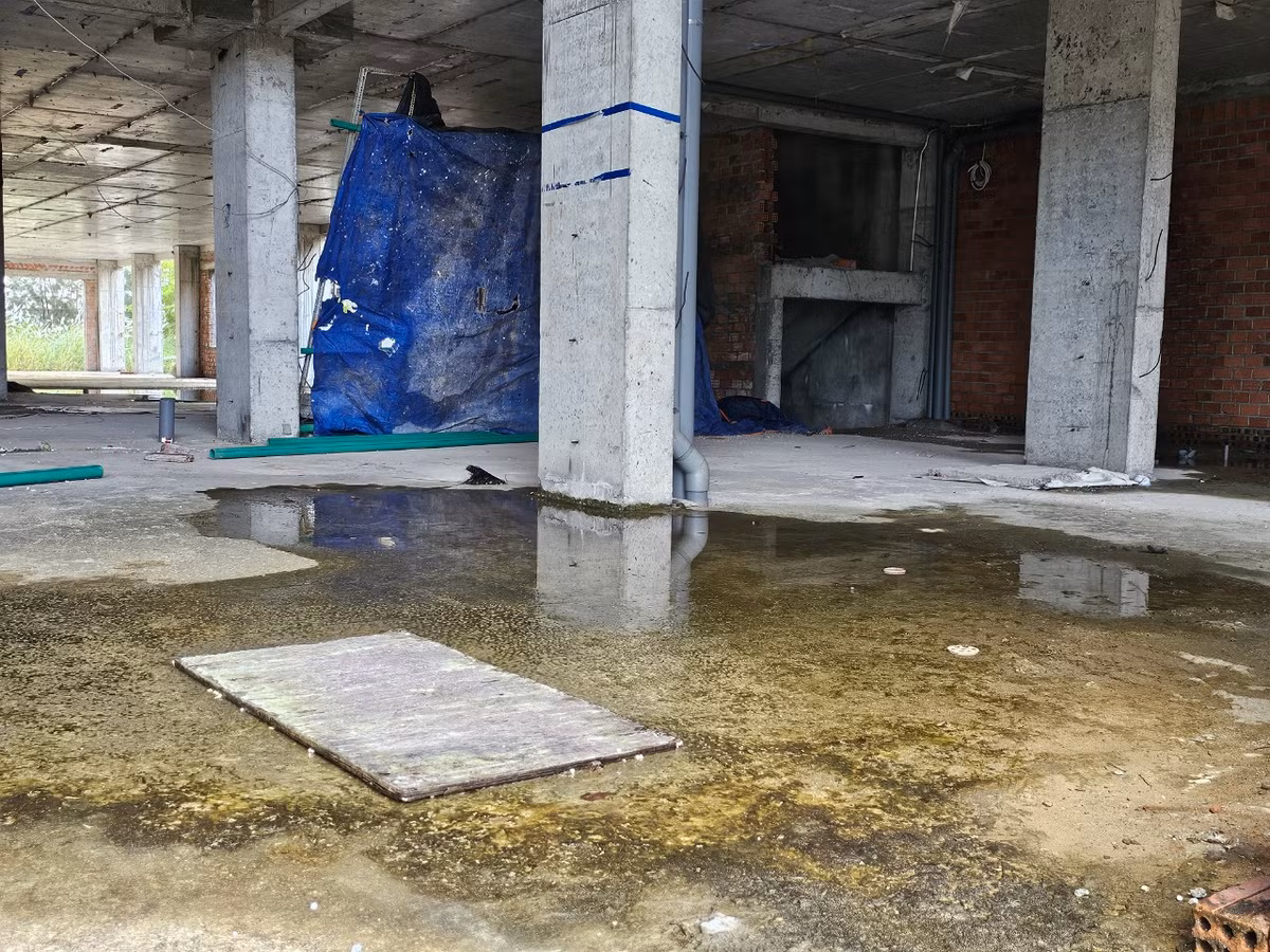 Nước mưa đọng thành vũng, rêu mốc đầy sàn.