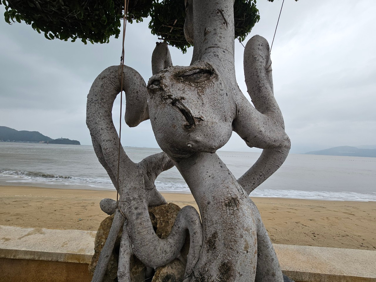 Bộ rễ độc đáo của một tác phẩm.