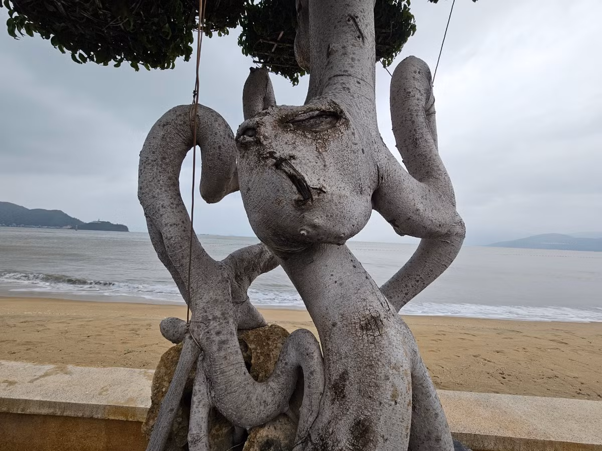 Bộ rễ độc đáo của một tác phẩm.