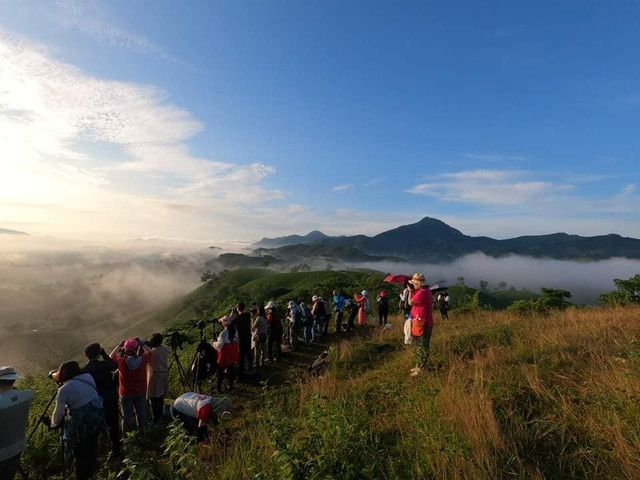 Doi che Long Coc- Ha Long cua vung Tay Bac