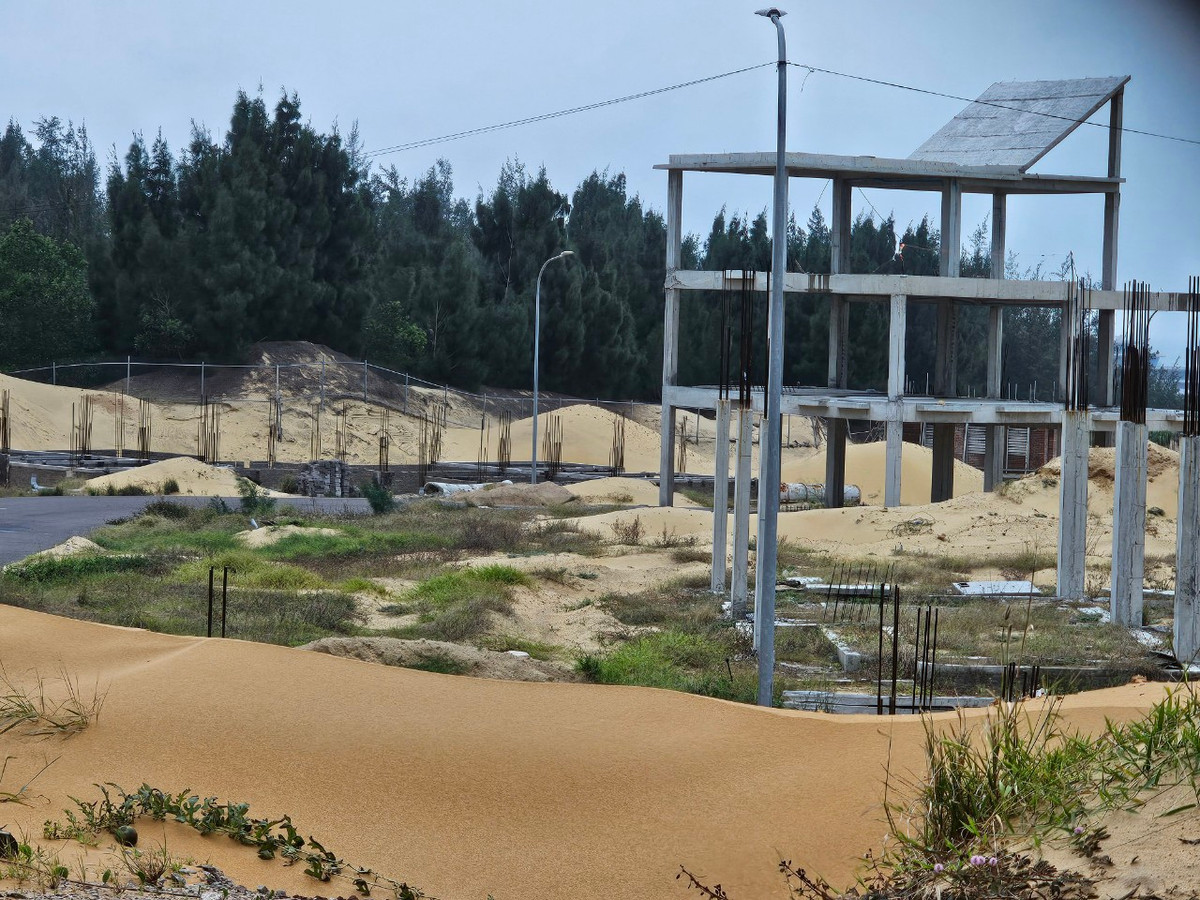 Được biết, năm 2022, tỉnh Bình Định đã có quyết định chấm dứt hoạt động đối với 2 dự án Viện đào tạo hàng không Bamboo Airways và Khu nghỉ dưỡng du lịch sinh thái cao cấp Eo Gió của Tập đoàn FLC.