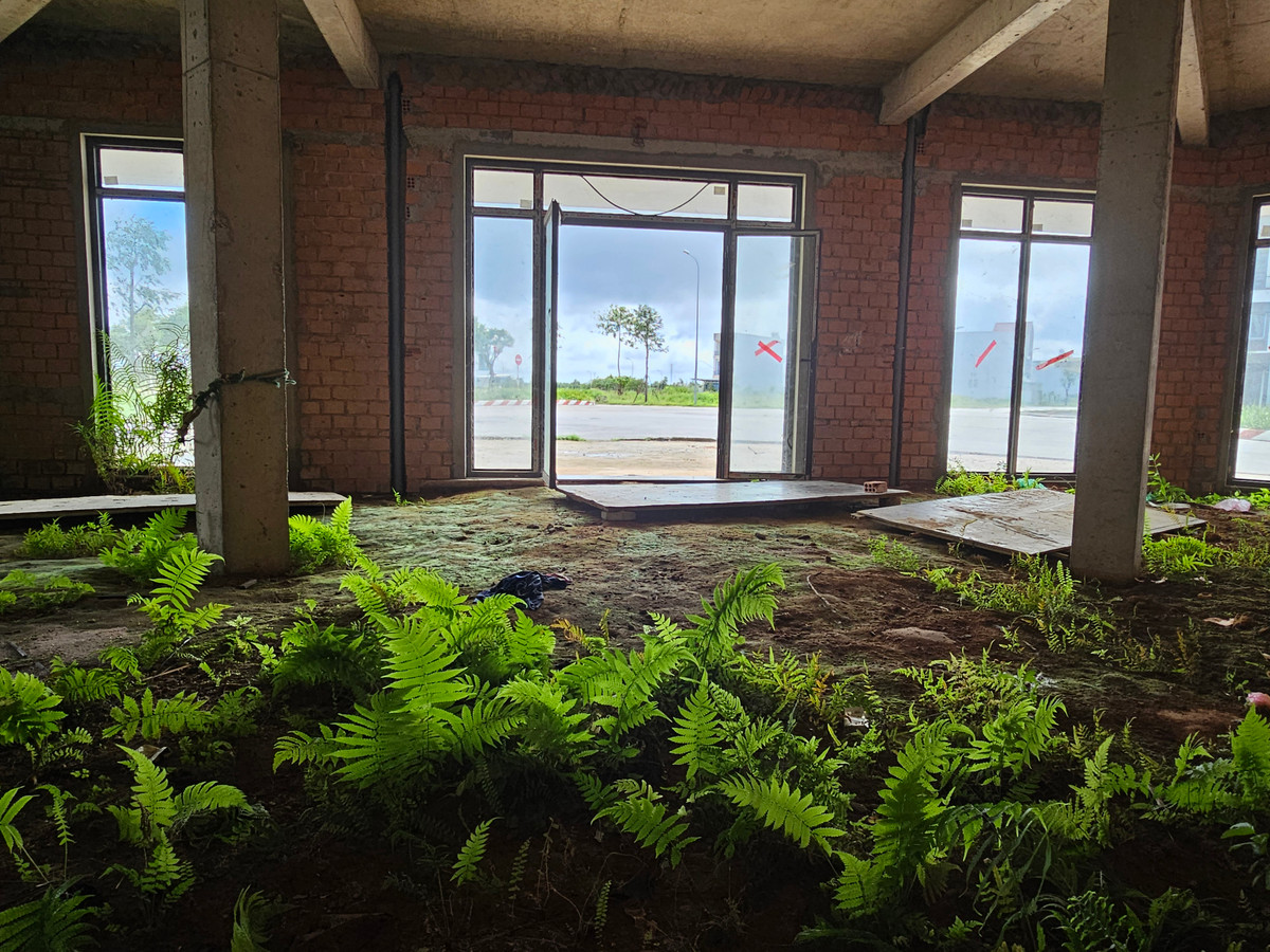 Nhiều nhà đầu tư trót "xuống tiền" giờ sốt ruột nhìn nhà phố biến thành nhà hoang.