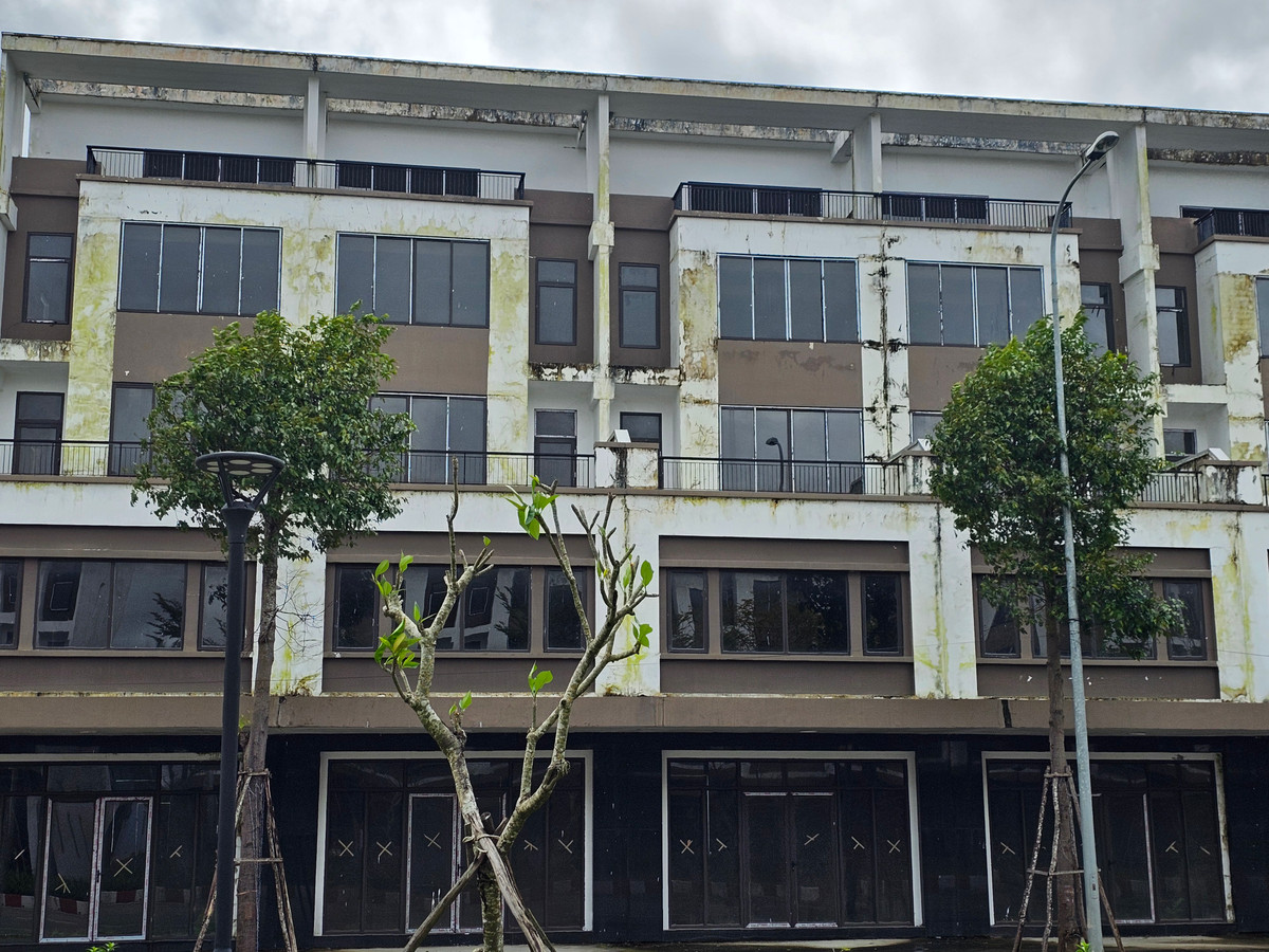 Thế nhưng, bức tranh thực tế khiến nhiều người bất ngờ.