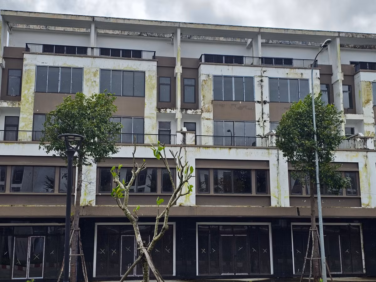 Thế nhưng, bức tranh thực tế khiến nhiều người bất ngờ.