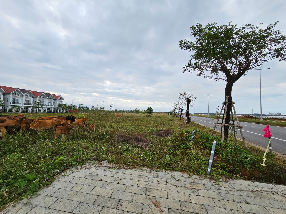 Một môi giới bất động sản tại khu vực này cho biết, giá đất nền đã giảm gần tỷ đồng mỗi lô so với thời "sốt giá" nhưng vẫn "khó chốt".