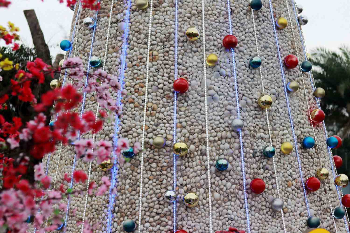 Cây thông có chiều cao khoảng 8m, đường kính đáy khoảng hơn 3m được kết dính bằng keo nến từ khoảng 100.000 vỏ sò. Ảnh: Trần Tuấn.