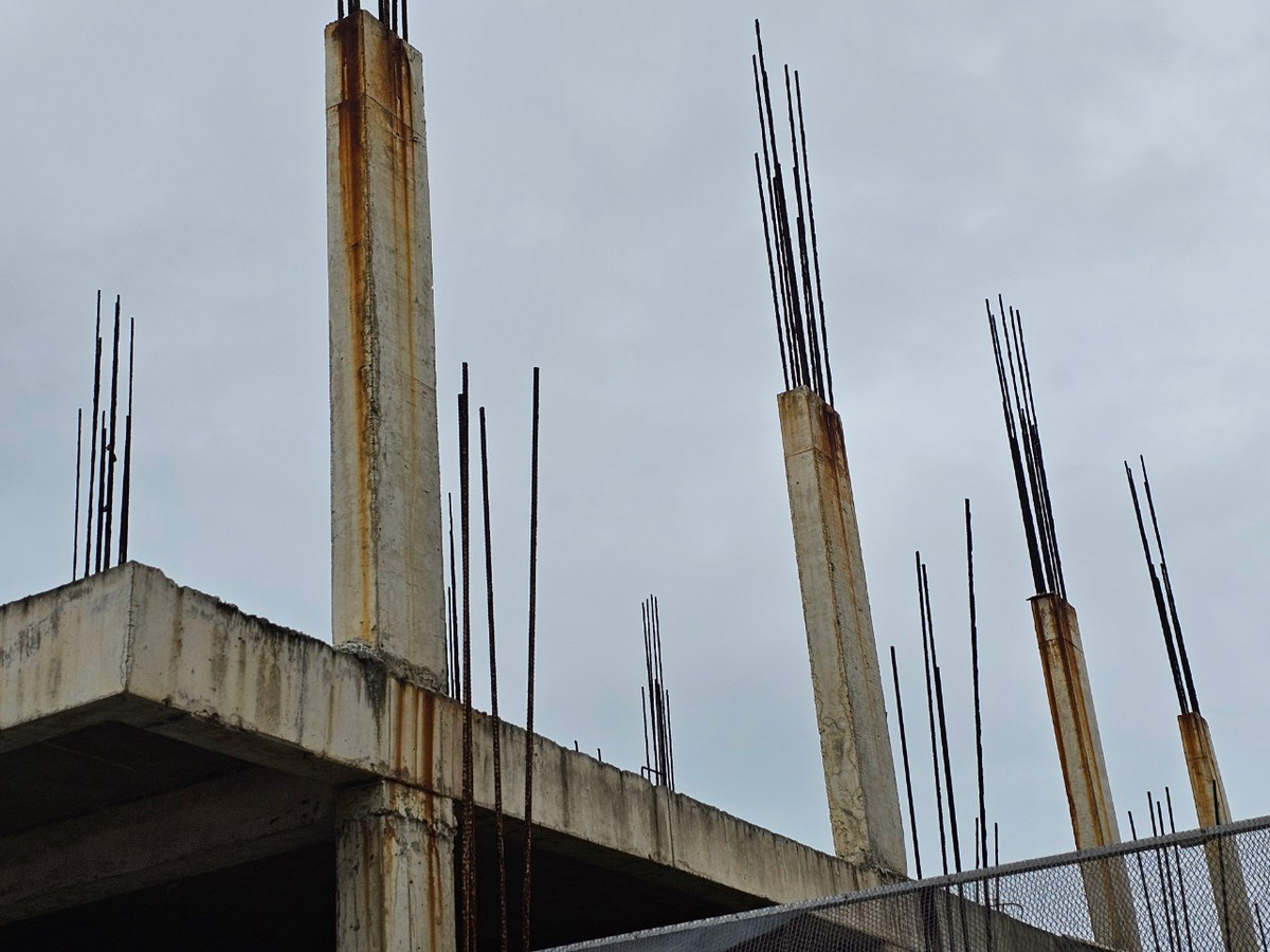 Thế nhưng, thực tế là một bức tranh hoàn toàn khác.