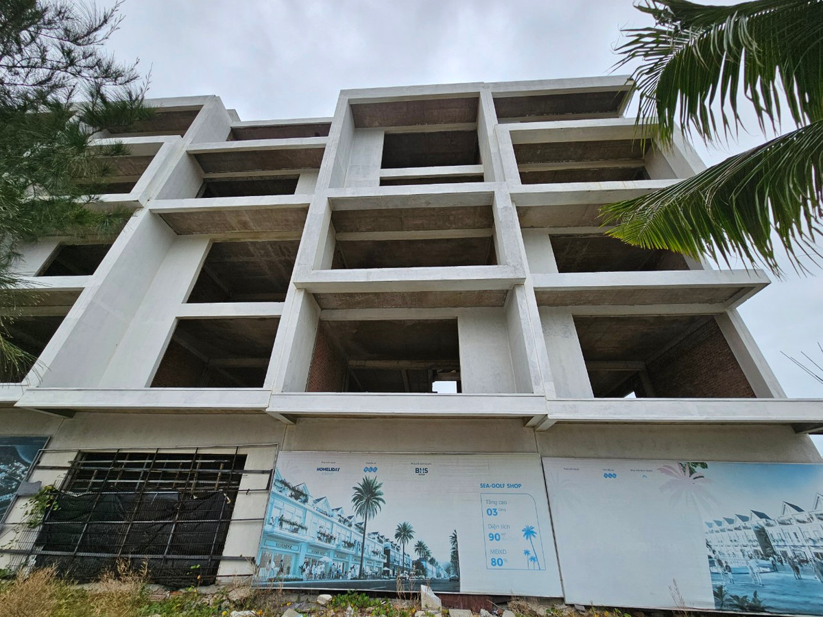 Dự án từng được giới thiệu gồm 2 phân khu, trong đó Phân khu The East có 208 căn shophouse và 35 căn golf villa hướng Đông và Phân khu The West có 74 căn shophouse.