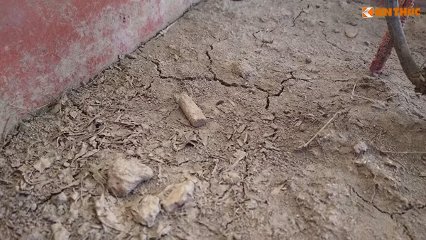 Đất bên trong chậu trồng hoa do không có nước tưới nên bị khô nứt.