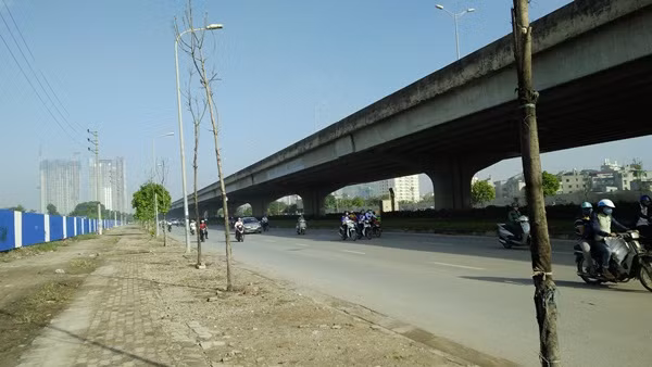 Thời gian gần đây, nhiều người di chuyển trên cả hai hướng tuyến đường Nguyễn Xiển (quận Thanh Xuân, Hà Nội) chứng kiến hình ảnh hàng chục cây xanh mới trồng, vẫn còn nguyên bao tải bọc ở thân cây nhưng đã chết khô.