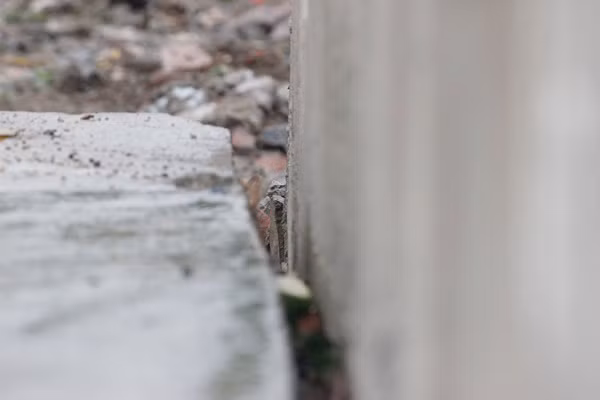 Nhiều vết nứt rộng hàng chục cm chạy dài ở bức tường bê tông cạnh mép bờ sông Nhuệ.