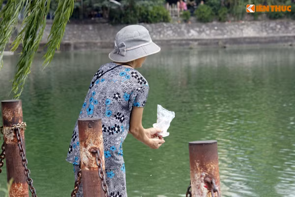 Trong khi những rác thải, lớp tảo, lớp váng đen, xác cá... dưới lòng hồ chưa được xử lý, thì hàng ngày vẫn còn một số người dân cố tình vứt đủ thứ xuống lòng hồ khiến hồ càng bị ô nhiễm.