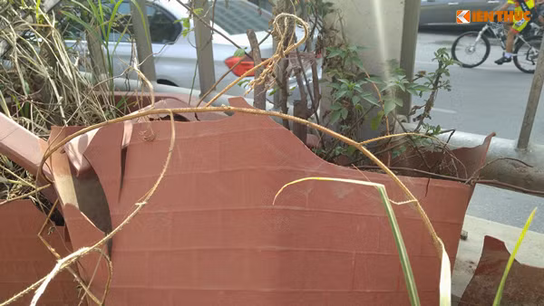 Hình ảnh xấu xí, mất mỹ quan đô thị.