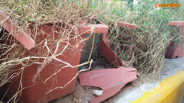 Hàng chục chậu hoa bị vỡ tan tành, đất cát bay tung tóe dưới đường hầm chui hiện đại của Hà Nội.