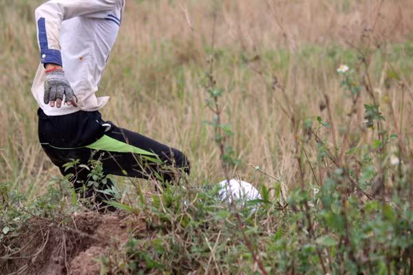 Chạy rất nhanh chóng để có thể bắt được chuột.