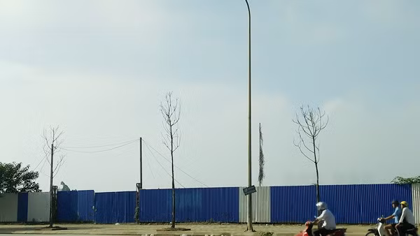 Trước tình trạng trên, mong các cơ quan chức năng nhanh chóng có biện pháp xử lý kịp thời.