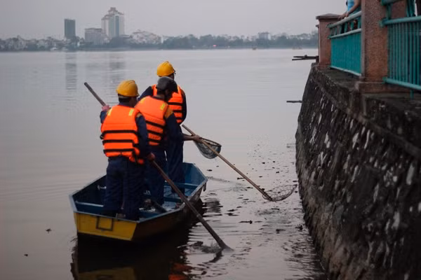 Trao đổi với PV Kiến Thức, ông Phạm Văn Đông, Phó tổng giám đốc Công ty Khai thác Hồ Tây, cho biết: "Sáng sớm thứ 6 tuần vừa qua sau cơn mưa chúng tôi phát hiện nhiều tôm, cá nổi lên mặt hồ rồi có hiện tượng chao đảo đâm đầu vào bờ. Sau đó, đến đêm và rạng sáng ngày 2/10 thì cá tôm bất ngờ chết hàng loạt, chủ yếu là các loại cá nhỏ lành canh, cá rô phi, cá diếc…"
