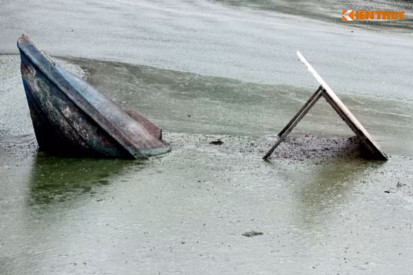 Hình ảnh khiến nhiều người trông thấy đều ngán ngẩm.