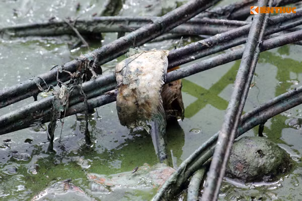 Do ảnh hưởng của mùi hôi tanh của hồ Văn Quán nên nhiều gia đình sinh sống xung quanh khu vực bờ hồ đều phải đóng cửa kín mít.