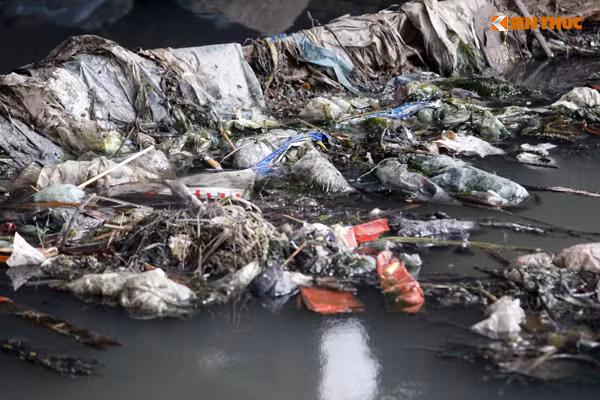 Những túi rác thải tồn đọng lâu ngày đang phân hủy ở ven bờ hồ.
