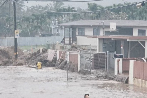 Bang Hawaii tuyen bo tinh trang khan cap