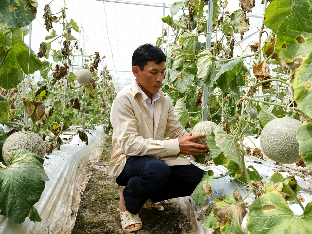 Thu tuong Chinh phu chu tri Hoi nghi so ket hon 3 nam thuc hien Nghi quyet 120-Hinh-4