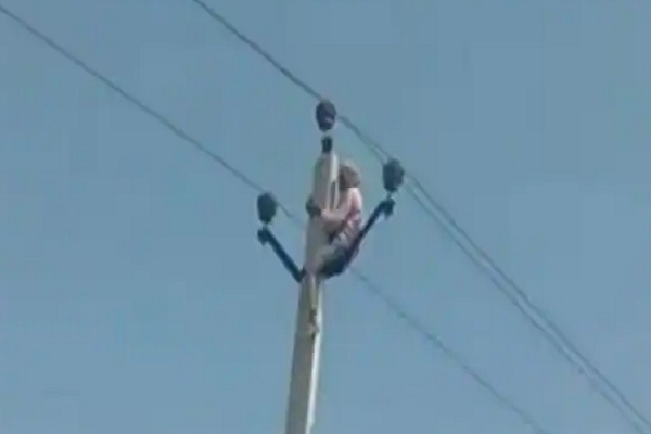 Bi phan doi “di buoc nua”, cu ong treo cot dien doa tu tu