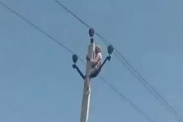 Bi phan doi “di buoc nua”, cu ong treo cot dien doa tu tu