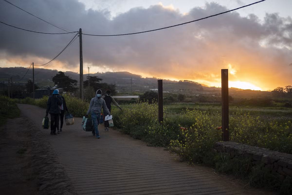 Cam canh cuoc song cua di dan “mac ket” tren quan dao Canary-Hinh-5