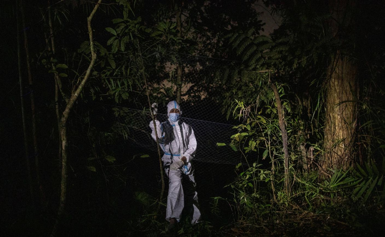 Nhà nghiên cứu Ryan Llamas đứng gần tấm lưới được giăng để bắt dơi trên núi Makiling, tỉnh Laguna, ngày 5/3/2021.