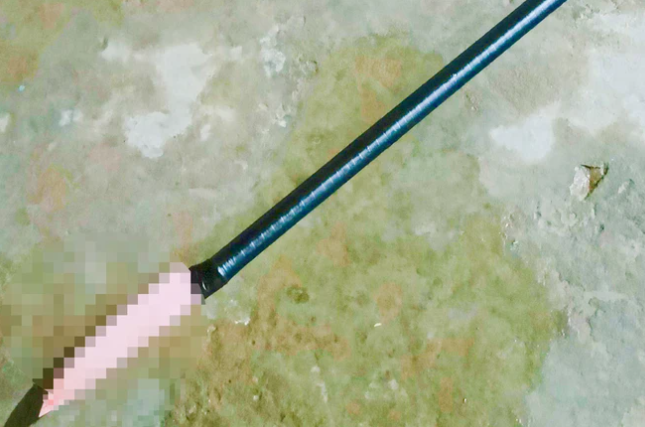  Bị la mắng, thiếu niên 15 tuổi sát hại cha ruột: Tối 17/3, ông Nguyễn Văn Dũng (SN 1976, ngụ xã Thạnh Quới, huyện Long Hồ, tỉnh Vĩnh Long) cùng con trai là N.D.H. (SN 2009) và con gái là T.N. (SN 2016) đến ăm cơm tại nhà cha ruột. Đến 20h, ăn cơm xong, H. và em gái nô đùa khiến T.N. bị té từ trên võng xuống đất. Ông Dũng la rầy con trai thì H. cãi lại nên bị cha đánh vào mặt. Tức giận, H. bỏ về nhà lấy dao tự chế quay lại nhà ông nội, bất ngờ đâm vào cổ cha dẫn đến tử vong. Ngày 18/3, Công an tỉnh Vĩnh Long đang tạm giữ H. để điều tra, làm rõ. 