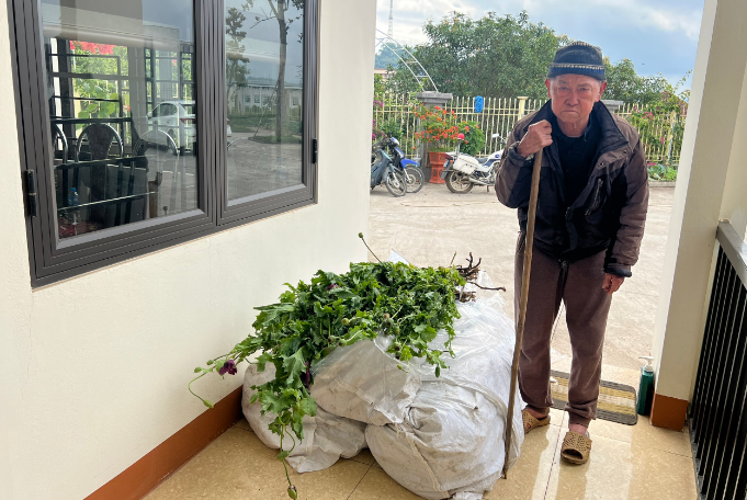 Lao Cai: Bat giu cu ong 82 tuoi trong hon 750 cay thuoc phien