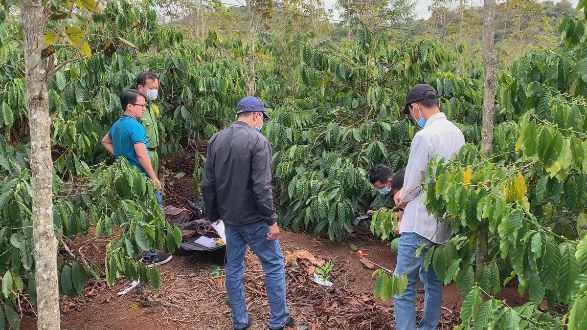 Đó là Nguyễn Phước Châu (sinh năm 1976, ngụ xã Tân Thành, huyện Gò Công Đông, tỉnh Tiền Giang). Châu thuê phòng trọ ở phường Lộc Sơn, TP Bảo Lộc, làm nghề xây dựng. Thời điểm Nguyễn Phước Châu bí mật rời khỏi TP. Bảo Lộc trùng với ngày chị Giao mất tích. Châu đã từng có thời gian tới làm thuê trên địa bàn xã Tân Lâm, huyện Di Linh, nơi phát hiện thi thể chị Giao trong rẫy cà phê. Với chứng cứ thu thập được, Ban Chuyên án đã cử ngay một mũi trinh sát lên đường tìm Nguyễn Phước Châu. (Ảnh minh họa, nguồn internet) 