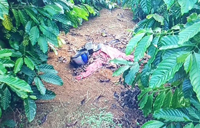 Cách đây 5 năm, vụ án mạng ở Lâm Đồng từng gây xôn xao dư luận. Theo đó, chiều 26/11/2019, một người dân thôn 8, xã Tân Lâm, huyện Di Linh, tỉnh Lâm Đồng đang đi làm rẫy bỗng hốt hoảng chạy vội về thôn loan tin phát hiện một xác chết không còn nguyên vẹn trong vườn cà phê. Xác định đây là một vụ án mạng, các trinh sát Phòng Cảnh sát hình sự Công an tỉnh Lâm Đồng đã phối hợp với Công an huyện Di Linh và các cơ quan chức năng khẩn trương vào cuộc. (Nơi phát hiện thi thể nạn nhân)