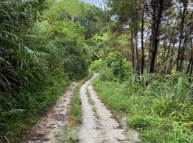 Cách đây 7 năm, vụ án mạng ở Thái Nguyên từng gây xôn xao dư luận. Ngày 7/11/2017, một người dân phát hiện ở giữa con đường mòn có thi thể nữ giới nằm ngửa, xung quanh máu chảy lênh láng. Nạn nhân được xác định đã tử vong trước đó nhiều giờ. Tại vùng lưng, mặt, cổ của nạn nhân có hàng chục vết thương được gây nên bởi vật sắc, nhọn. Thời điểm được phát hiện, nạn nhân đầu vẫn đội mũ bảo hiểm. (Ảnh minh họa, nguồn internet)