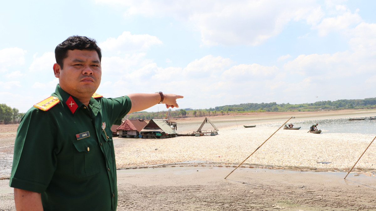 Dong Nai: Hon 200 tan ca chet o ho Song May gay o nhiem-Hinh-6