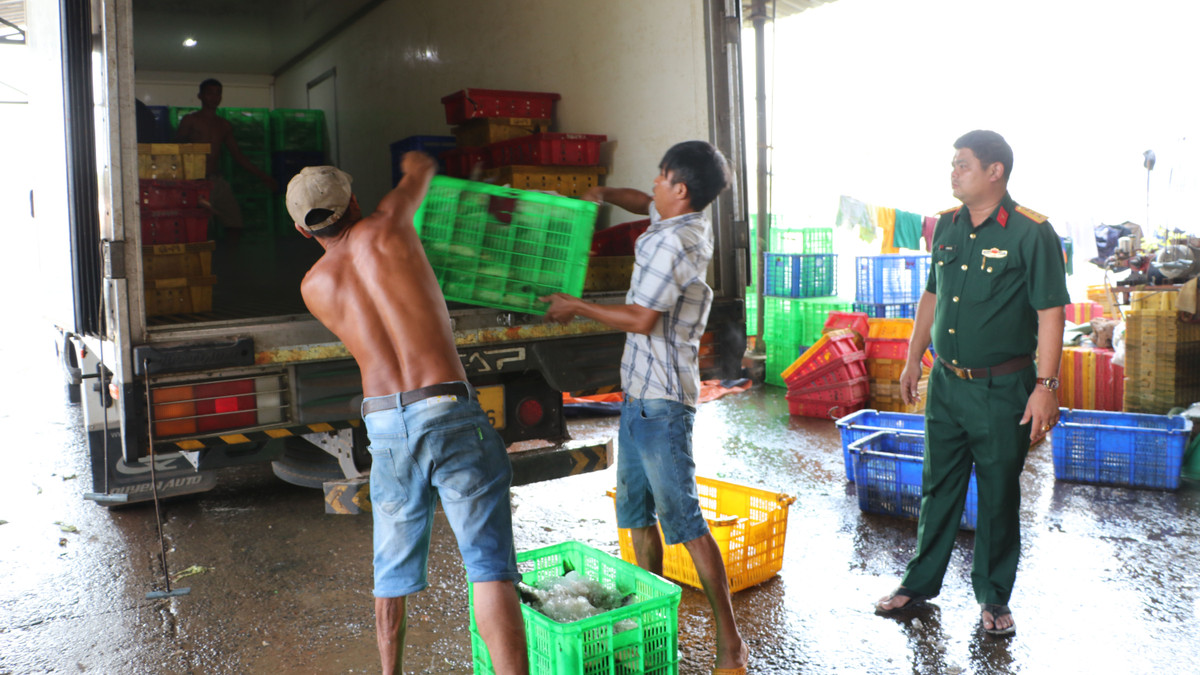 Dong Nai: Hon 200 tan ca chet o ho Song May gay o nhiem-Hinh-8