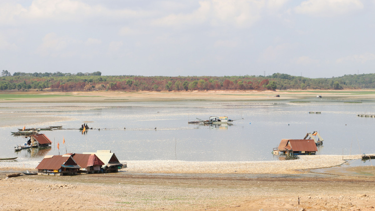 Dong Nai: Hon 200 tan ca chet o ho Song May gay o nhiem-Hinh-3