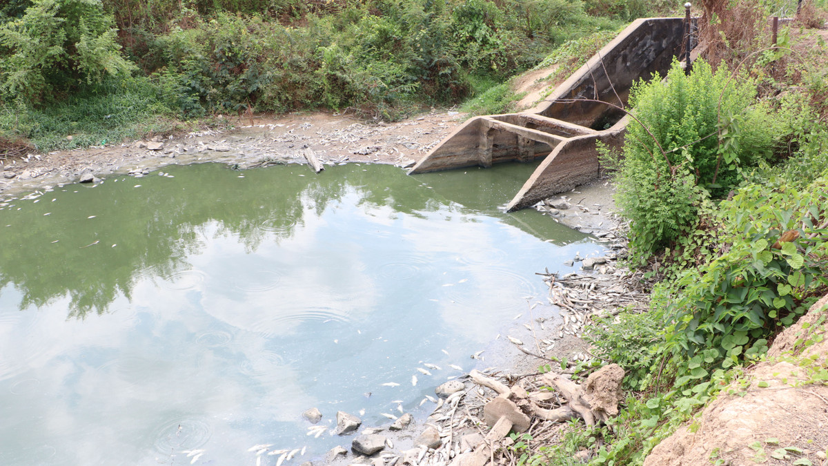 Dong Nai: Hon 200 tan ca chet o ho Song May gay o nhiem-Hinh-9