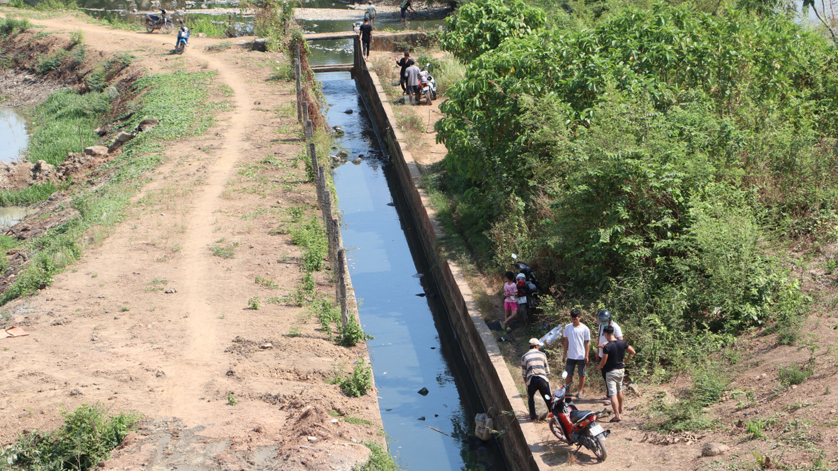 Dong Nai: Hon 200 tan ca chet o ho Song May gay o nhiem-Hinh-11