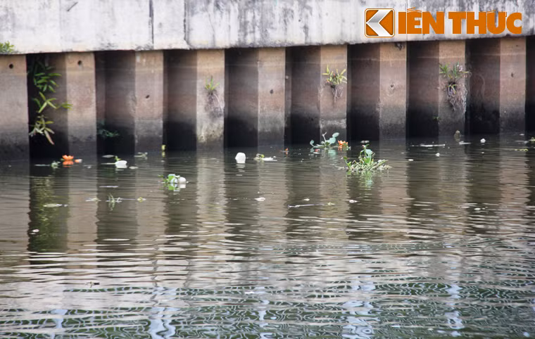 "Dù chính quyền thường xuyên đặt biển báo, băng rôn để kêu gọi người dân ý thức trong việc bảo vệ môi trường, tạo cảnh quan trong lành cho dòng kênh nhưng vẫn còn không ít người vô ý thức...", bác Bảy Vi, một người dân sống gần kênh Nhiêu Lộc- Thị Nghè (thuộc địa bàn quận Phú Nhuận) chia sẻ.