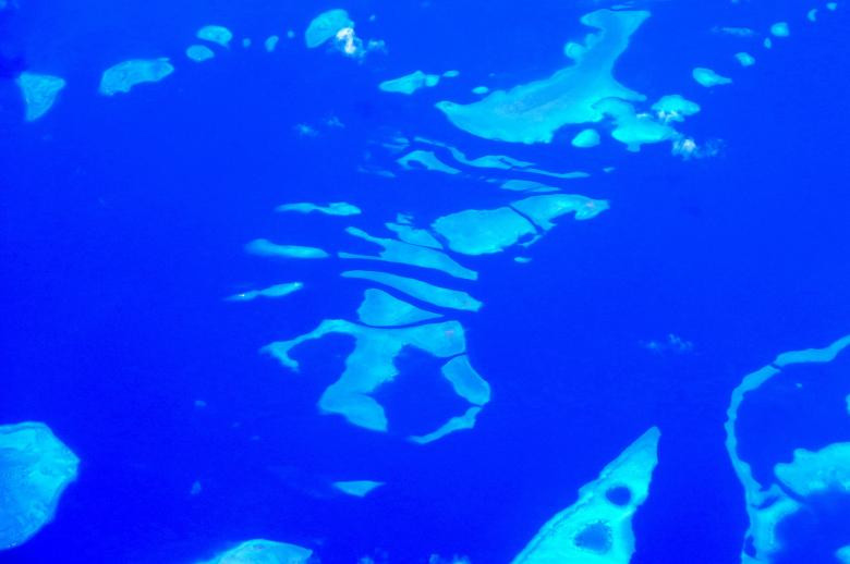 Đài CNN bình chọn rạn san hô Great Barrier là một trong 7 kỳ quan thiên nhiên của thế giới.