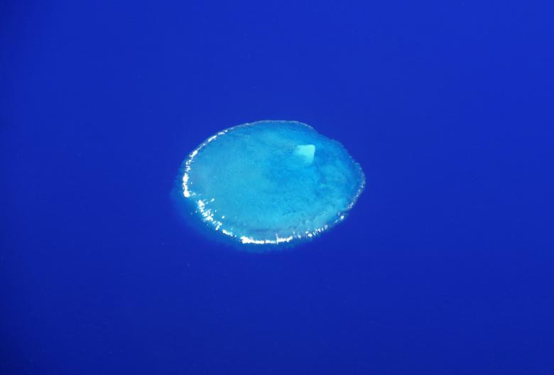 Được biết, rạn san hô Great Barrier đã được UNESCO công nhận là Di sản thế giới vào năm 1981. Rạn san hô này còn được coi là biểu tượng của bang Queensland.