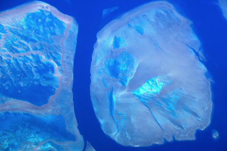 Theo một nghiên cứu của Viện hàn lâm khoa học quốc gia Mỹ năm 2012, từ năm 1985, rạn san hô Great Barrier đã mất đi hơn nửa số san hô của nó và 2/3 trong số đó “biến mất” từ năm 1998 do những yếu tố kể trên.